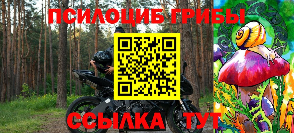 Норильск  Псилоцибиновые грибы мицелий  Вход с VPN 